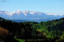 noclegi Pokoje Szczawnica